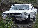 1966 Mustang