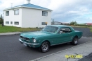 1966 Mustang 