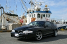 1994 Mustang Cobra SVT