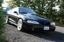 1994 Mustang Cobra June 2010_1