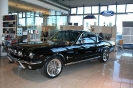 Mustang syning 17-04-2010