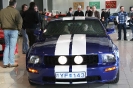 Mustang syning 17-04-2010