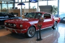 Mustang syning 17-04-2010