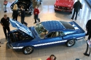 Mustang syning 17-04-2010