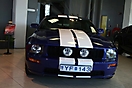 Mustang syning 17-04-2010