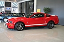 Mustang syning 17-04-2010