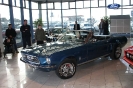 Mustang syning 17-04-2010