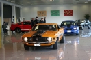 Mustang syning 17-04-2010