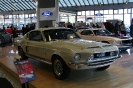 Mustang syning 17-04-2010