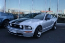 Mustang syning 17-04-2010