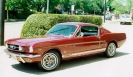 1966 Mustang