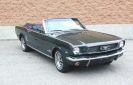 1966 Mustang