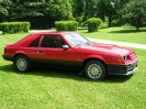 1982 Mustang GT Hatchback