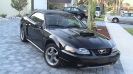 2002 Mustang