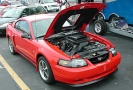 2002 Mustang