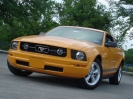 2007 Mustang