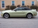 2007 Mustang