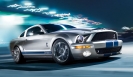 2009 Mustang