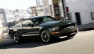 2009 Mustang