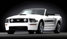 2009 Mustang