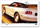 Mustang in Ads