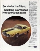 Mustangs in Ads