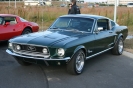 Mustangs in Iceland