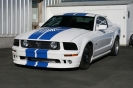 Mustangs in Iceland