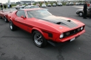 Mustangs in Iceland