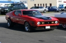 Mustangs in Iceland