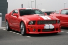 Mustangs in Iceland