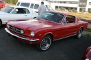 Mustangs in Iceland