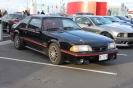 Mustangs in Iceland