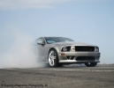 Mustangs in Iceland