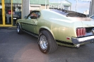 Mustang syning 17-04-2010