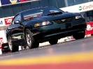 Mustang Bullitt